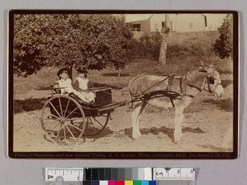 Two girls in a donkey drawn cart