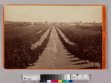 Pasadena from Carrs 1885