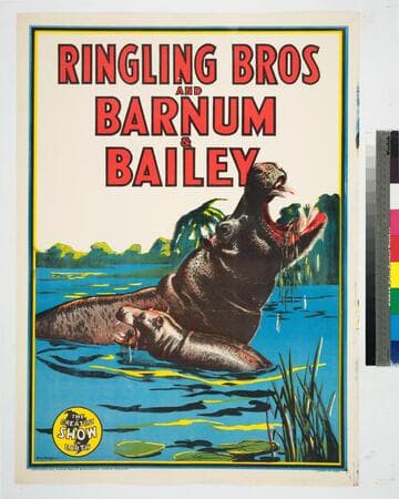 Ringling Bros and Barnum & Bailey