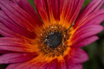 Go to image 7.