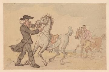 A Cleric with an Unruly Horse