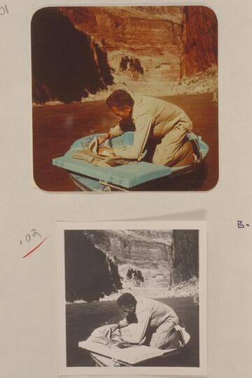 Hugh Cutler presses some botanical specimens found at Vaseys Paradise