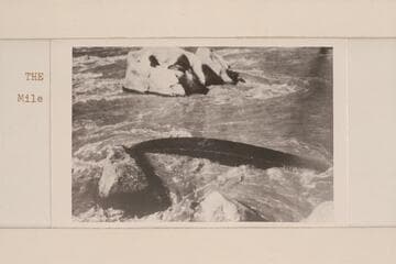 Wreck of boat in Rapid 24