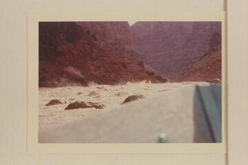 "Wee Yellow" tops Vulcan Rapid