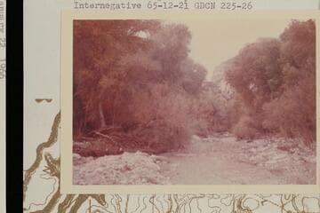 Diamond Creek at junction with Robbers Roost Canyon