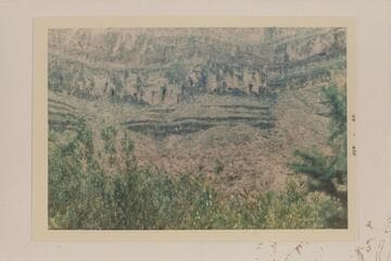 Holes in Muav; east side lower Separation Canyon.  Spring in creek bed