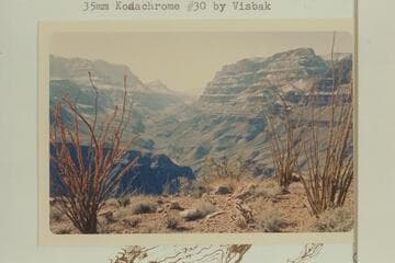 Up Peach Springs Wash