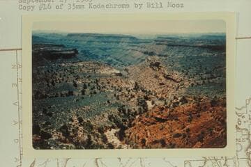 View of upper Separation Canyon
