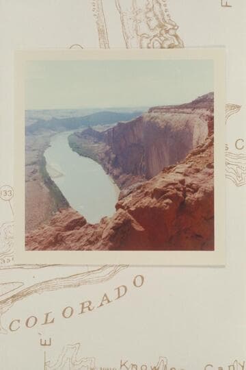 Tapestry Wall, Olympia Bar at left