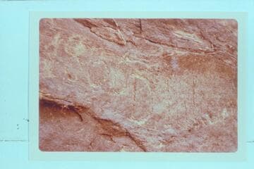 The inscription:  1836, D. Julien.  Mile 185.75 left bank