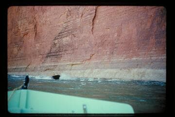 Vasey's and dam site 32.8?