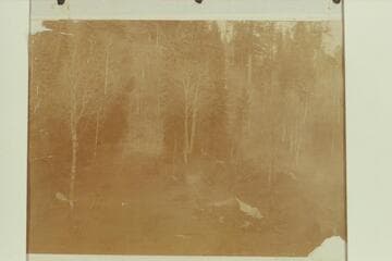 A camp of the Best Expedition after they had left the river at Lees Ferry.  Photo from Edwards collection