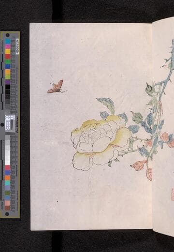 芥子園畫譜. Pt. 3