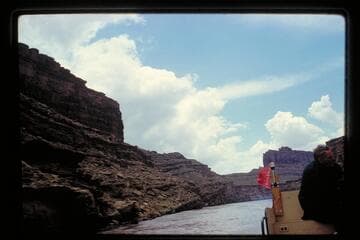 Saddle of The Loo[p]