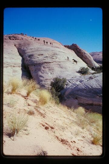 Up slick rock to north Sid Whiskers Basin