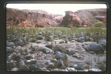 Entrance to canyon of Black Water Creek