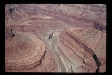 Up to Vasey's Paradise