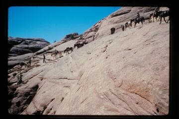 Down into Moepitz Canyon
