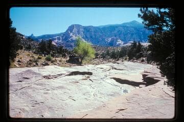 Lunch stop on Cha Creek