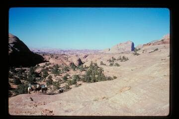 Across Bald Rock Creek to Cha Butte from Rainbow Bridge Trail