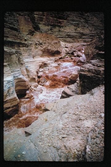 Supai Creek in flood