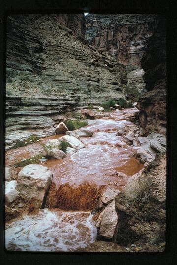 Supai Creek flood