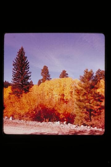 Fall foliage; upper Water pocket