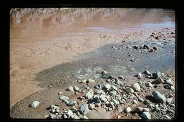 Mouth of Diamond Creek