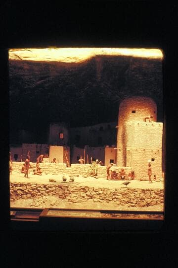 Cliff dwellers.  Close-up