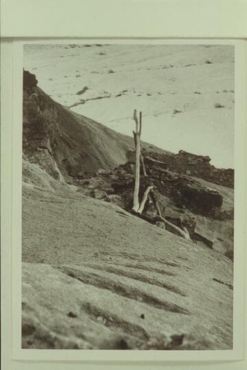 Mile 35.3, east side. View down second set of stock trail steps