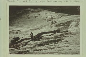 Mile 38 1/2, east side. View down lowest set of stock trail steps