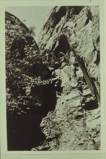 Trail through Red Bud Pass.  Climbing from Bridge Canyon