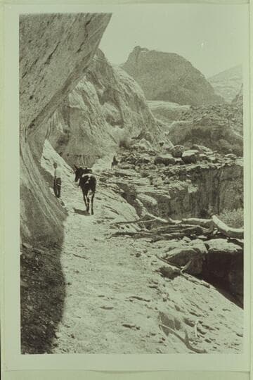 Trail from Bridge Canyon to Surprise Valley