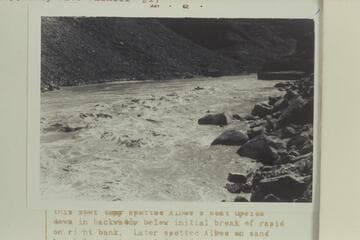 10-man inflated boat "Archean Traveler" with Charles Worth and Bob Gaskill aboard.  Lower end of 24 Mile Rapid in Marble Canyon