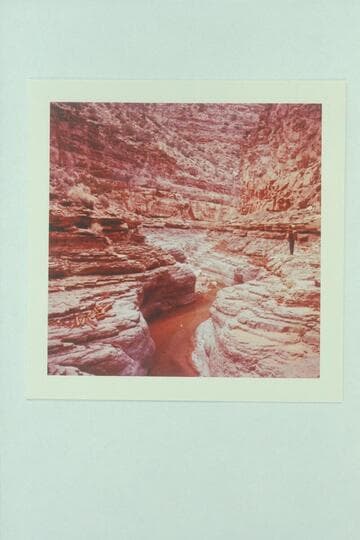 Dark Canyon between Youngs Canyon and the river, showing hard limestone layer heavily fossilized, probably Rico formation