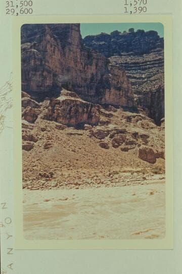 Head of Rapid No. 26