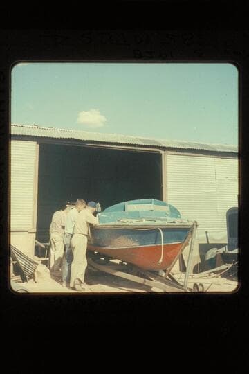 "Cactus" at Fredonia