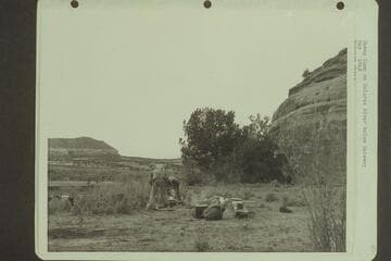 Sheep camp on Dolores River below Gateway.  [crossed out on back:  "Camp on lower Dolores where found numerous dinosaur bones"]