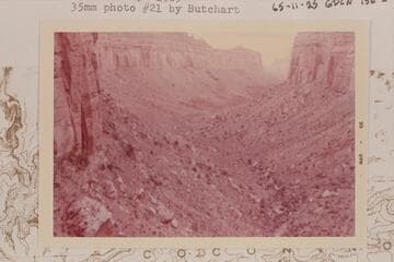 Down Driftwood Canyon from the Coconino