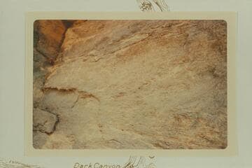 1836 D. Julien inscription