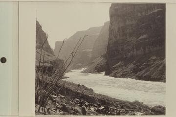 Upstream at Whitmore Wash from the trail