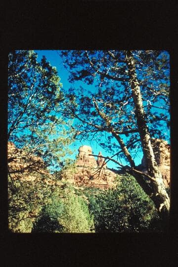 Red Rock through trees; Oak Creek Canyon