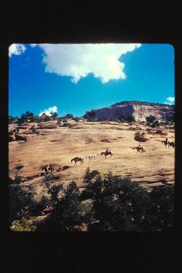 Horses on Rock Trail