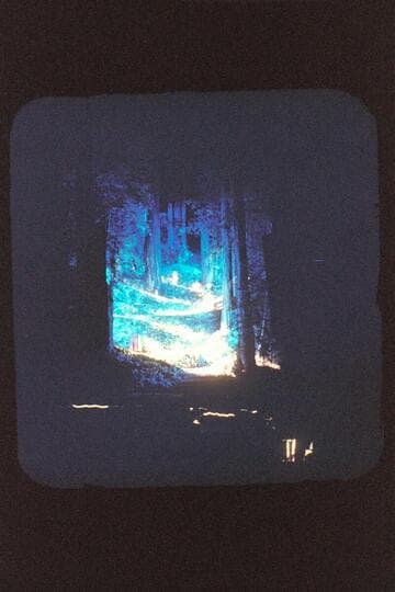 Grove play stage--lights