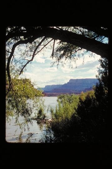 Cliffs and down river from Lees Ferry landing