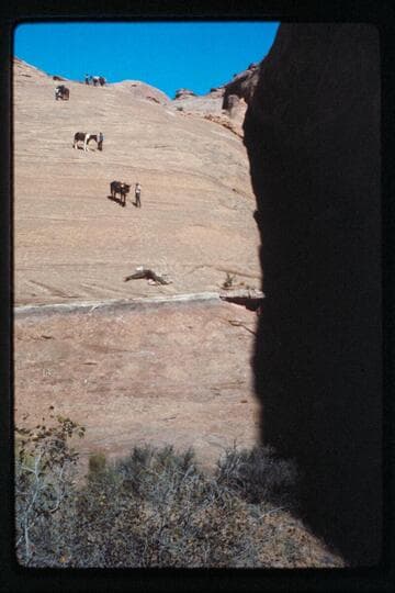 Down into head of northeast fork of 73