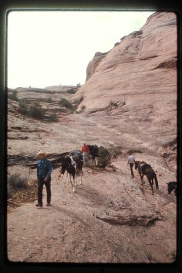 Slickrock Trail west of Nasja Creek