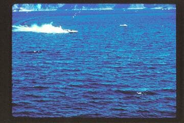 Lake Mead, Gold Cup Races