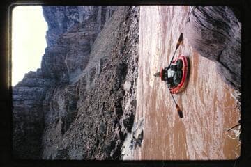 Head of rapid no. 24