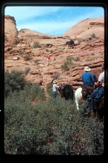 Trail out of Nasja Creek